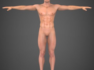 realistic male robert 3D Model