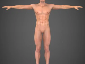 Robert maschio realistico Modello 3D