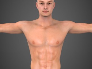 realistic male robert 3Dモデル