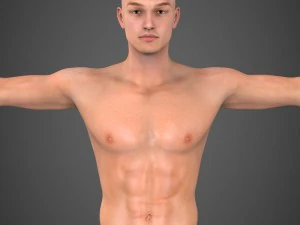 realistic male robert 3D Model