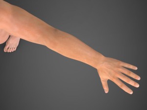 realistic male robert 3Dモデル