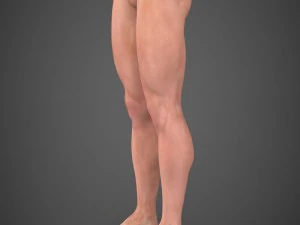 realistic male robert 3D Model