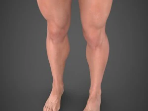 realistic male robert 3D Model