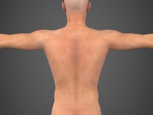 realistic male robert 3Dモデル