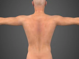 realistic male robert 3D Model
