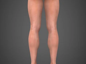 realistic male robert 3D Model