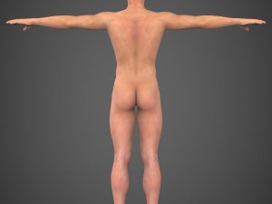 realistic male robert 3Dモデル