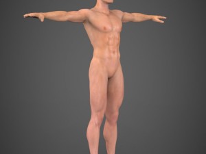 realistic male robert 3Dモデル