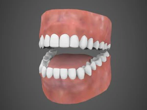 realistic male robert 3D Model