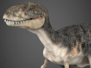 realistic dinosaur tyrannosaurus 3D Model