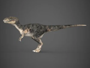 realistic dinosaur tyrannosaurus 3D Model