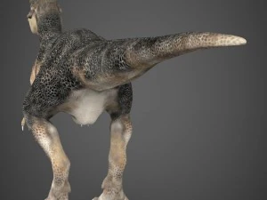 realistic dinosaur tyrannosaurus 3D Model
