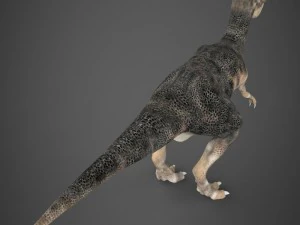 realistic dinosaur tyrannosaurus 3D Model