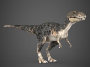 realistic dinosaur tyrannosaurus Model 3D