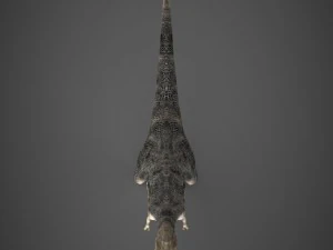 realistic dinosaur tyrannosaurus 3D Model
