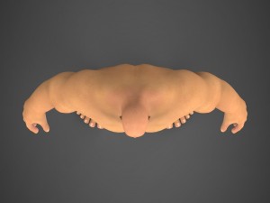 fantasy muscular man saabu Modèle 3D