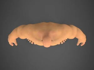 fantasy muscular man saabu 3D Model