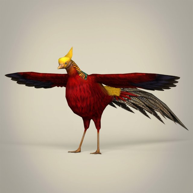 game ready fantasy bird 3D 모델 .c4d .max .obj .3ds .fbx .stl .blend 