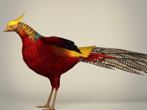 game ready fantasy bird 3D 모델