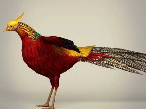 game ready fantasy bird 3D Model