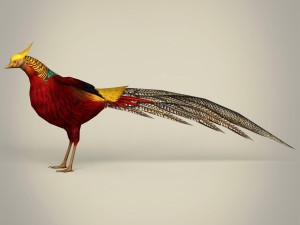 game ready fantasy bird 3D 모델