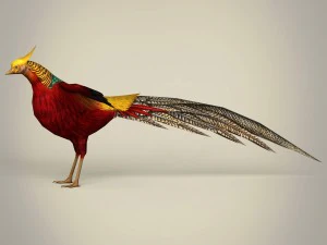 game ready fantasy bird 3D Model