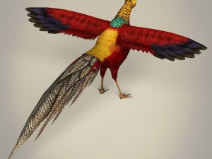 game ready fantasy bird 3D 모델