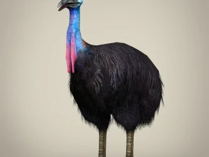 game ready wild animal collection 3D Model