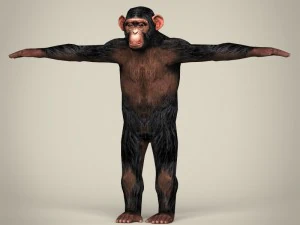 game ready wild animal collection 3D Model