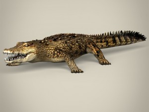 game ready wild animal collection Modèle 3D
