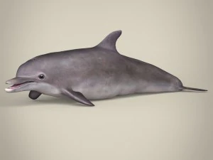 game ready wild animal collection 3D Model