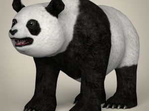 game ready wild animal collection Modèle 3D