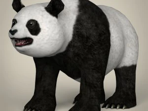 game ready wild animal collection 3D Model