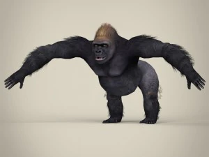game ready wild animal collection 3D Model