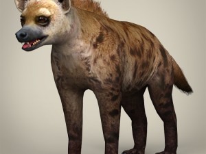 game ready wild animal collection Modèle 3D