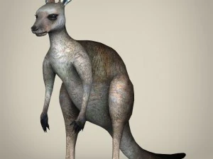 game ready wild animal collection 3D Model