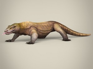 game ready wild animal collection Modèle 3D