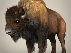 game ready wild animal collection 3D Model