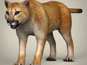 game ready wild animal collection Modèle 3D