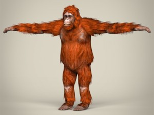 game ready wild animal collection Modèle 3D