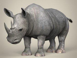 game ready wild animal collection Modèle 3D