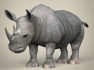 game ready wild animal collection 3D Model