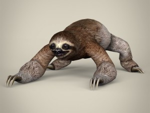 game ready wild animal collection Modèle 3D