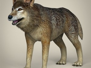 game ready wild animal collection Modèle 3D