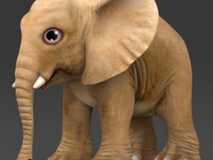 game ready baby elephant 3D Model