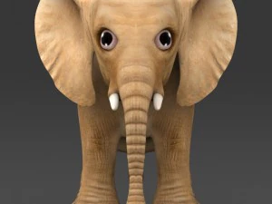 game ready baby elephant 3D Model