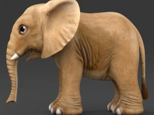 game ready baby elephant 3D Model