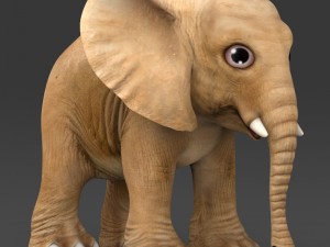 game ready baby elephant Modelo 3D