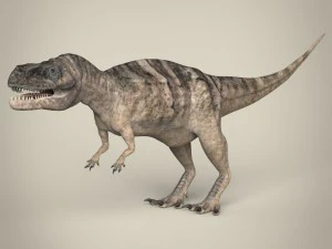 dinosauro realistico tirannosauro rex Modello 3D