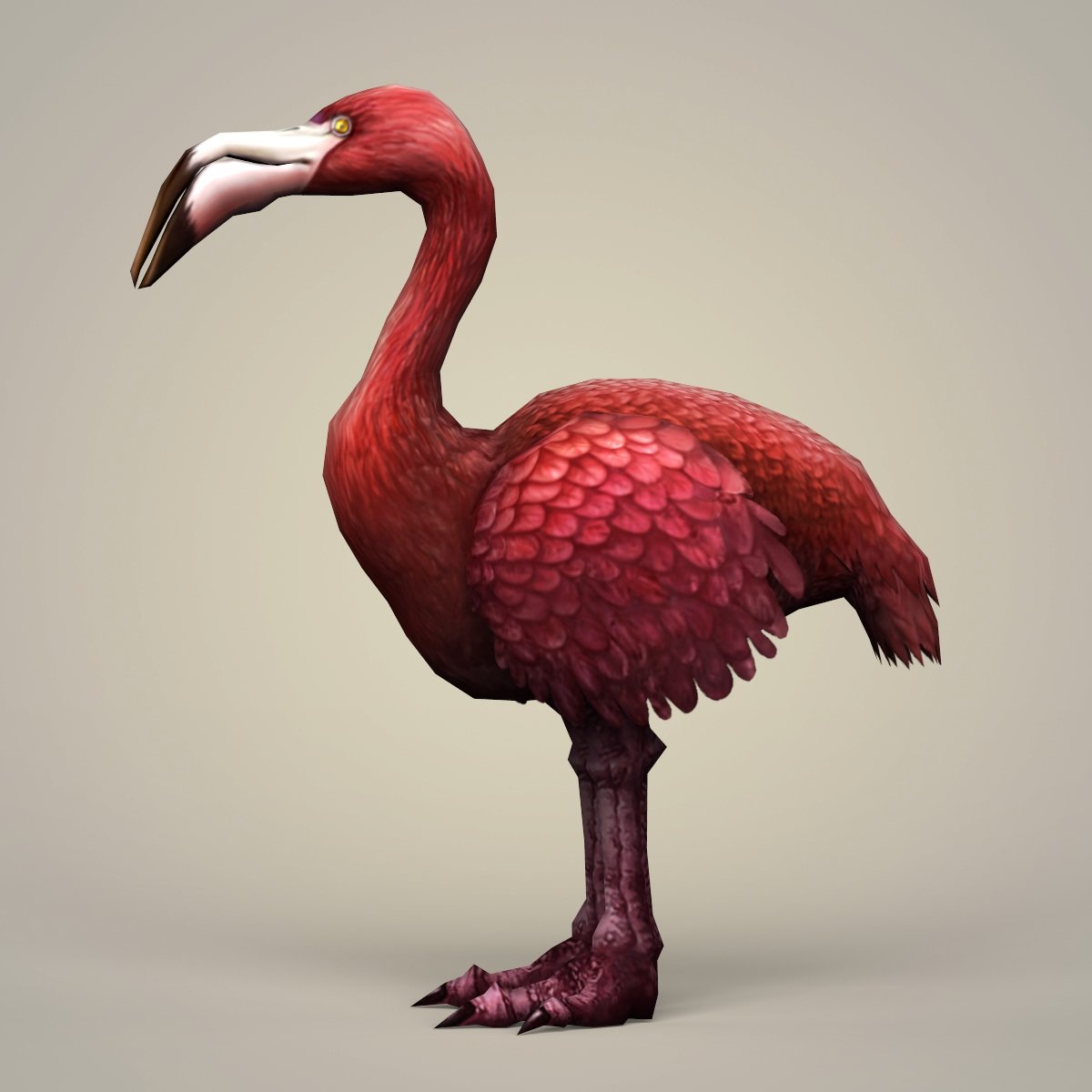 Bird 3d model